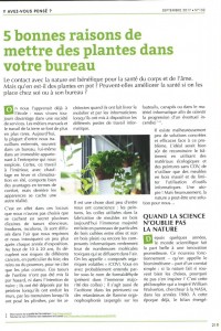 5 bonnes raisons pour mettre des plantes dans votre bureau PARTIE 2